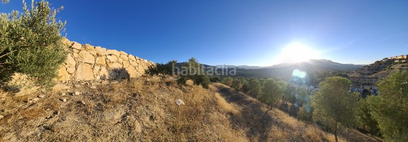 Foto a497f606-f7b9-4ee9-b5cc-190e67ba769b. Terreno residenziale in calle vega de sánchez 28 in Guardia de Jaén (La)