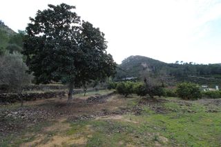 Terreno residenziale  Barranc del salt