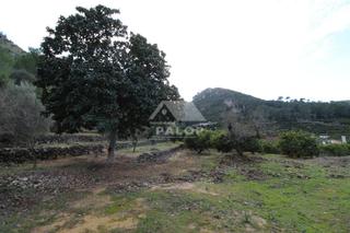Terrain résidentiel  Partida barranc de l'herba. Este terreno se encuentra en la barraca de aguas vivas, valencia