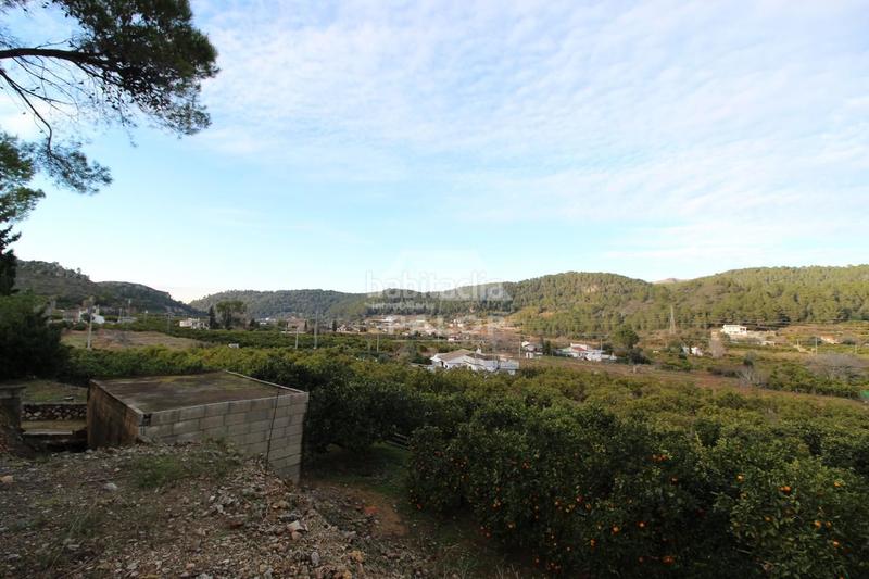 Foto ca492976-a941-4593-b5d4-2e64124f6f78. Terreno residenziale in Urbanitzacions i Pedanies Sud Alzira