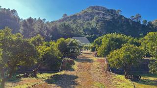 Terreny residencial a Urbanitzacions i Pedanies Sud. Esta finca rústica se encuentra en la barraca de aguas vivas, va