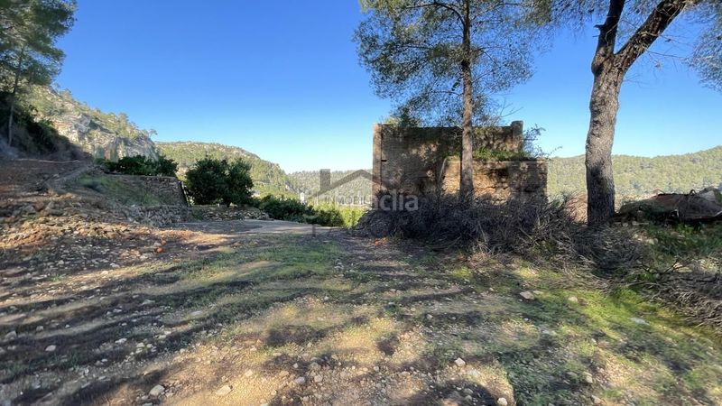 Foto 0184e258-031d-4a17-a9bc-b62002b78b4b. Finca rústica a Urbanitzacions i Pedanies Sud Alzira