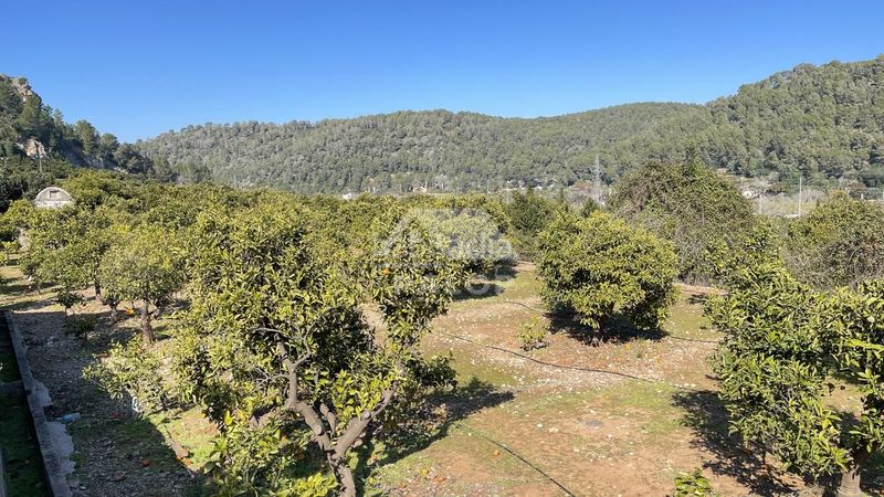 Foto 18643452-a4f5-4a67-bd68-3b2ffe1ed5b4. Finca rústica a Urbanitzacions i Pedanies Sud Alzira