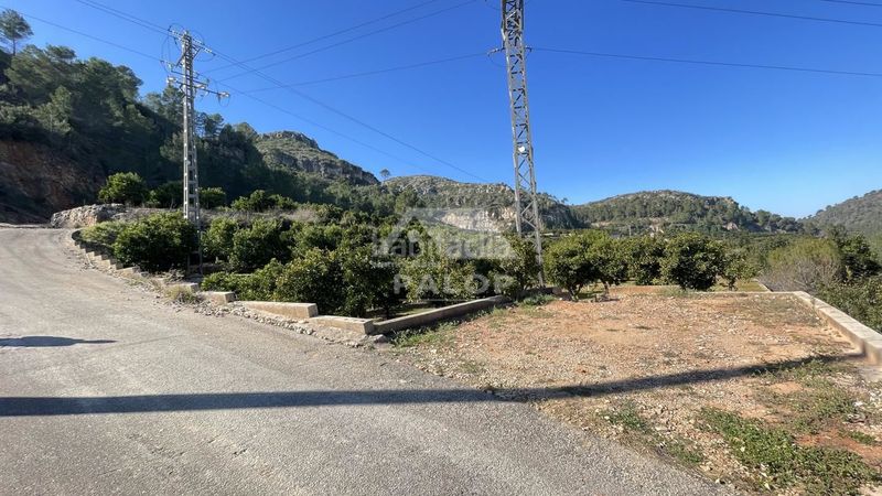 Foto 3c99938a-c62a-4ce3-9eed-5856346e13b7. Finca rústica a Urbanitzacions i Pedanies Sud Alzira