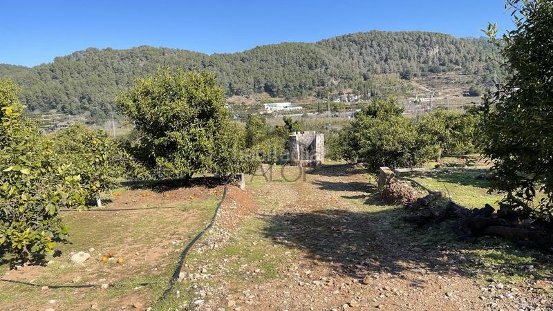Foto 42d25052-caf5-4a85-be4d-4c104eaa7ce8. Finca rústica a Urbanitzacions i Pedanies Sud Alzira