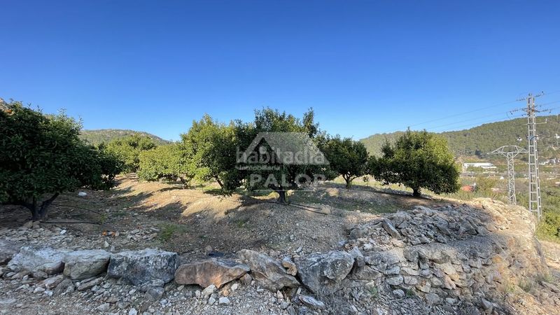 Foto 50192a9f-bd99-4edc-a404-5a909dba4e2a. Finca rústica a Urbanitzacions i Pedanies Sud Alzira