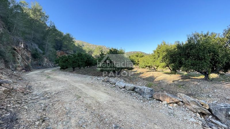 Foto 533dc814-e80d-4ae4-85a2-45c848f37414. Finca rústica a Urbanitzacions i Pedanies Sud Alzira