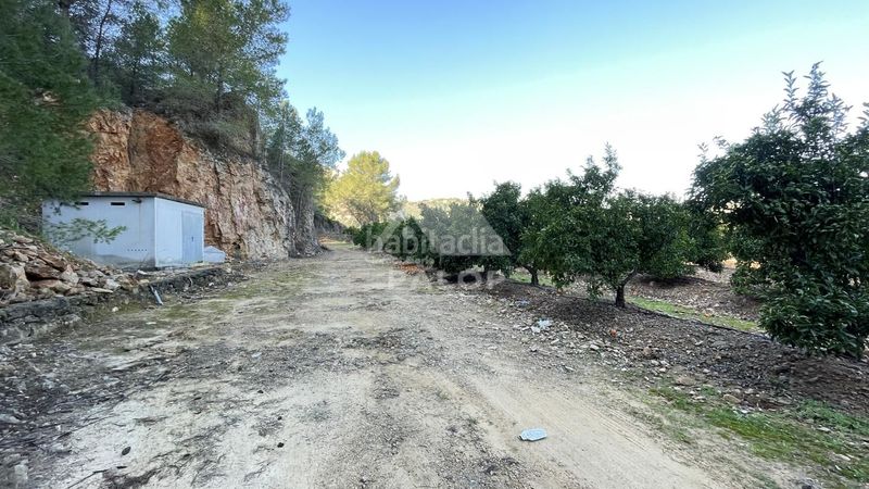 Foto 549d2f91-a4de-4fc8-b472-22c9c4e623ba. Finca rústica a Urbanitzacions i Pedanies Sud Alzira