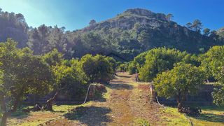 Fondo rustico in Urbanitzacions i Pedanies Sud. Finca rústica en venta en la barraca de aguas vivas  44.375 m