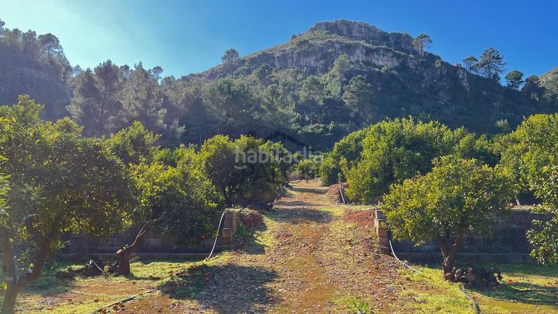 Foto 5a7f1191-b91e-43eb-b5ba-47f40f4b5d61. Finca rústica a Urbanitzacions i Pedanies Sud Alzira