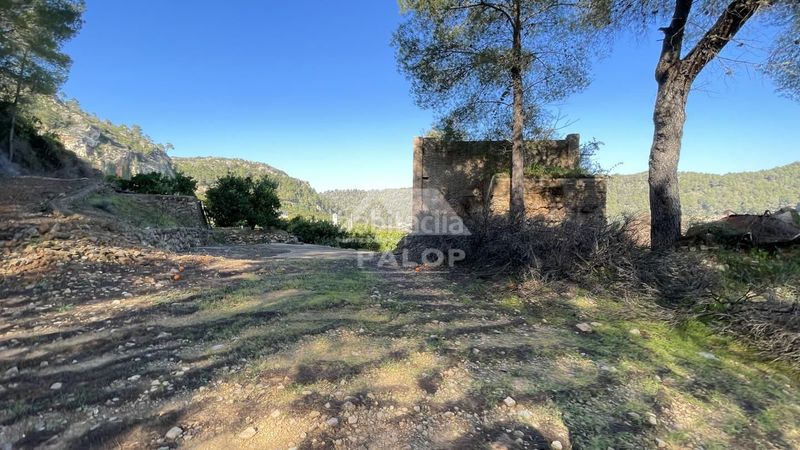 Foto 5d9e699f-afc7-4c7d-a4f4-114f78818e97. Finca rústica a Urbanitzacions i Pedanies Sud Alzira