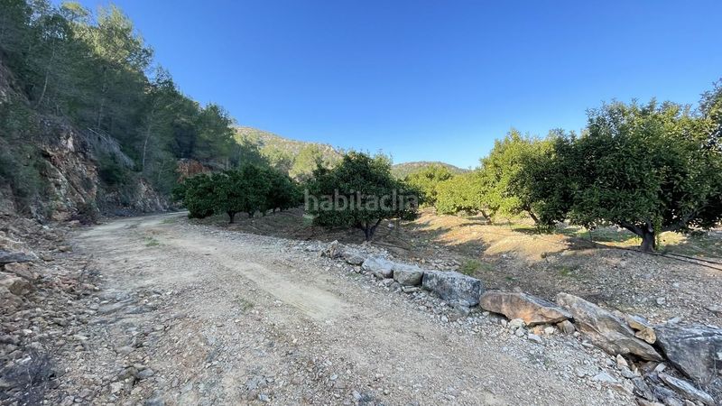 Foto 5e0aae8f-fc5a-4007-ac31-317d3b799e91. Finca rústica a Urbanitzacions i Pedanies Sud Alzira