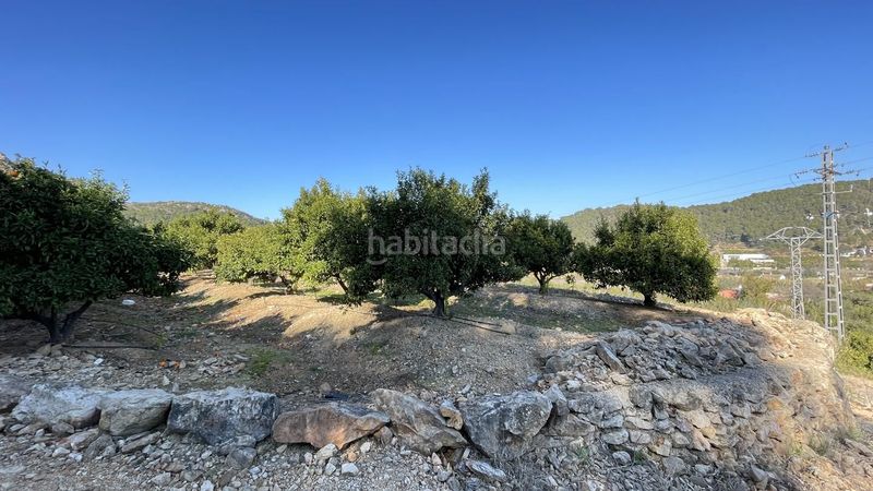 Foto 5f1b6f4f-aa29-4c71-9847-ce1a2a782f07. Finca rústica a Urbanitzacions i Pedanies Sud Alzira