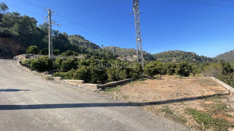 Foto 65f43b95-fe63-4bce-a6af-62be9d0ad574. Finca rústica a Urbanitzacions i Pedanies Sud Alzira