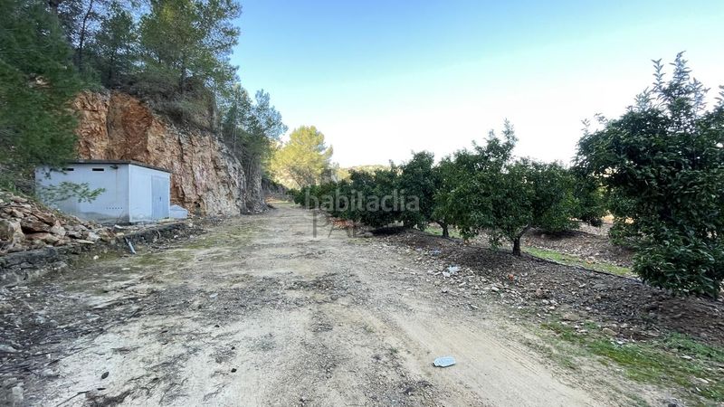 Foto 81aacf00-5147-4891-877e-aa1d2c386bf4. Finca rústica a Urbanitzacions i Pedanies Sud Alzira