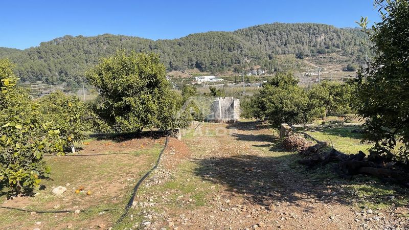 Foto 89379ad6-02ca-418a-9683-80896952ba25. Finca rústica a Urbanitzacions i Pedanies Sud Alzira