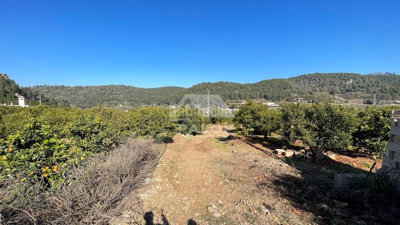 Foto b88a7598-c5bb-4630-abb7-0479050ee9cd. Finca rústica a Urbanitzacions i Pedanies Sud Alzira