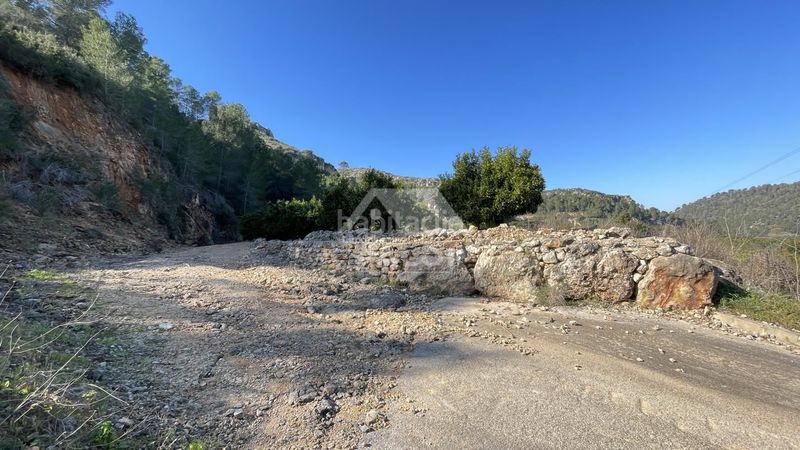 Foto bb02a91a-a31c-44e3-8d8e-384cd4da24b9. Finca rústica a Urbanitzacions i Pedanies Sud Alzira