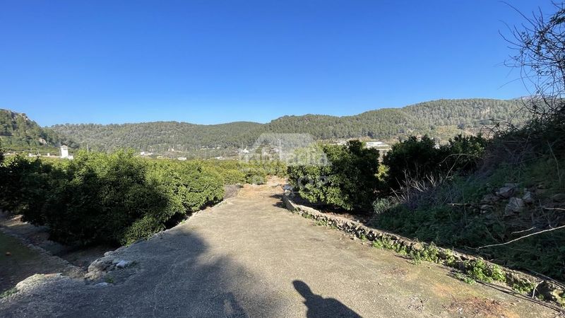 Foto d452fd69-fc3c-4d9f-8e14-3f87babe9fc2. Finca rústica a Urbanitzacions i Pedanies Sud Alzira