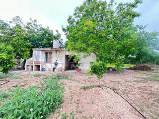 Finca rústica a Villanueva de Castellón. Este terreno se encuentra en castello, valencia, en la zona de l