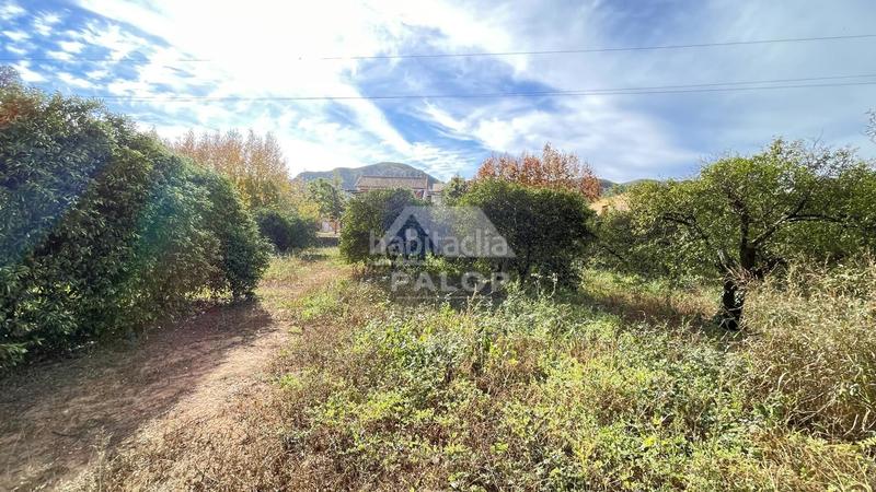 Foto 5b7729b1-3348-4d67-97df-99a1d4a6b243. Country house with pool in Urbanitzacions i Pedanies Sud Alzira