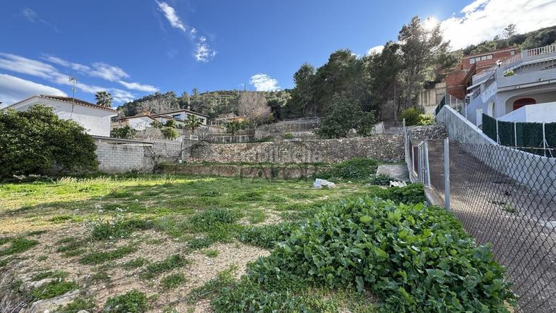 Foto 8133a5da-af82-421c-8f7e-9a299ffab97b. Terreno residencial parcela en venta en la barraca daiges vives en Carcaixent