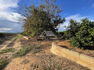 Finca rústica a Carcaixent