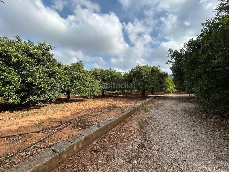 Foto 0652765f-f4a0-48e4-b701-b27194681935. Finca rústica terreno de 13.349 m en venta , valencia en Alzira