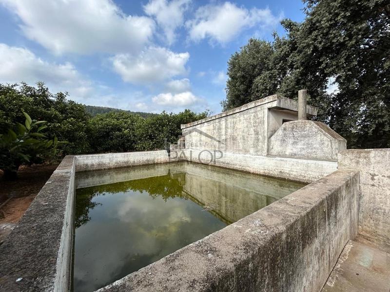 Foto ad63f892-bc87-4410-822b-c5b981a1fc98. Finca rústica terreno de 13.349 m en venta , valencia en Alzira