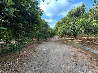 Finca rústica a Urbanitzacions i Pedanies Nord. Terreno de 13.349 m en venta en alzira, valencia