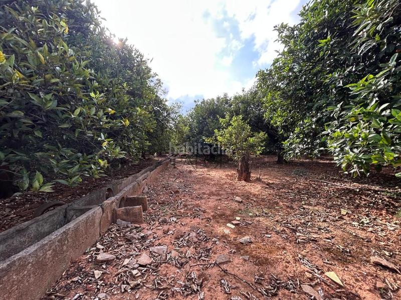 Foto f763db79-6422-4db0-baca-42a236944257. Finca rústica terreno de 13.349 m en venta , valencia en Alzira