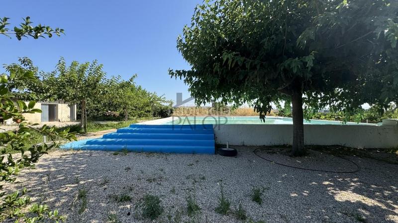 Foto 100151b2-67a8-4489-88cc-60d07914b3e8. Finca rústica  en venta , valencia en Carcaixent