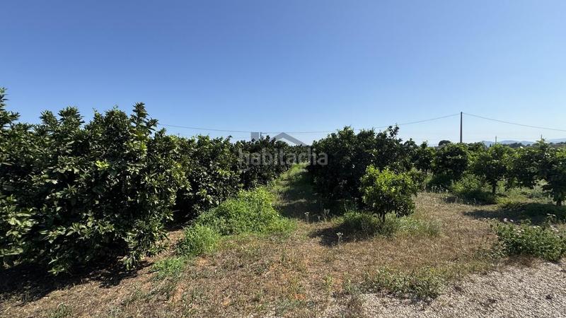 Foto 30ec7ee3-e3bc-4217-95ca-7ff416cbf32a. Finca rústica  en venta , valencia en Carcaixent