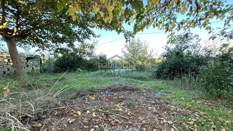 Foto 0c72945d-1214-49e9-9b4a-8a08d6749d4a. Masia amb piscina a Rafelguaraf