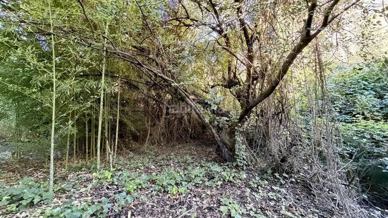 Foto 5cf874dc-5b16-4878-bb09-b871bd78c0ee. Mas dans Urbanitzacions i Pedanies Sud Alzira