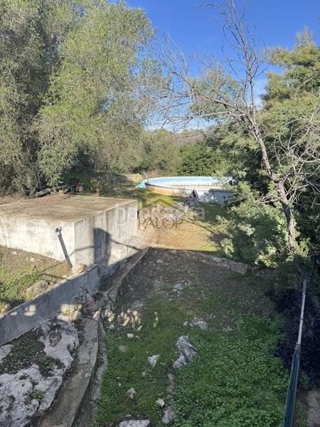 Foto eda3c72a-911b-432a-843b-e618a583c410. Masia amb piscina a Carcaixent