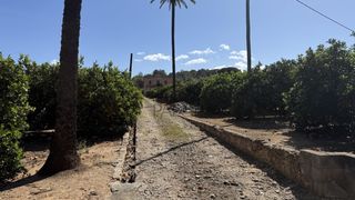 Masia a Carcaixent. Finca rústica en venta de 11.631 m en carcaixent