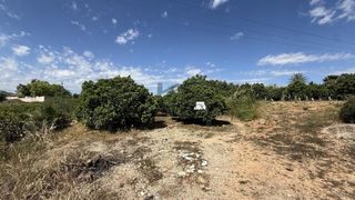 Rural plot in Pobla Llarga (la). Campo de naranjos en venta en la pobla llarga