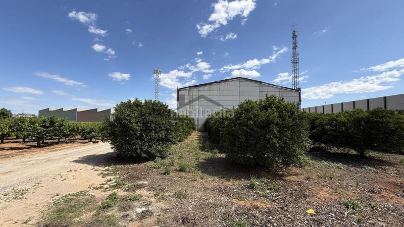 Foto dd7f8dc1-0e91-42b0-bded-046daa3ad76d. Area edificabile industriale in Pobla Llarga (la)