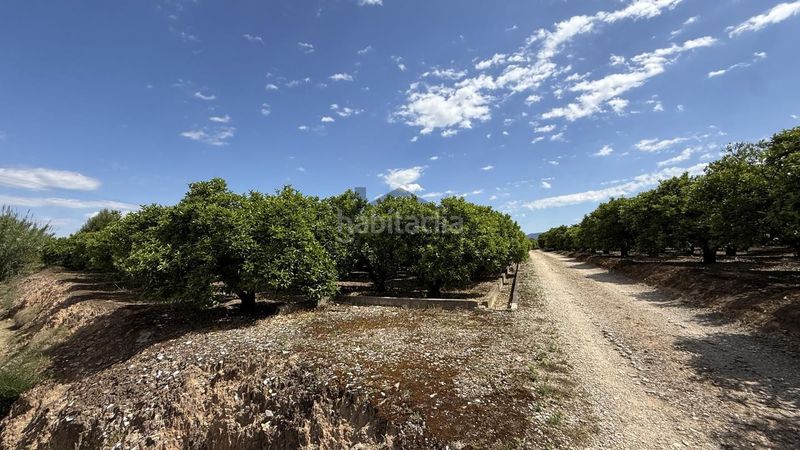 Foto 5381b9e6-8f3a-4f92-bfa9-79c00352b95a. Finca rústica a Pobla Llarga (la)
