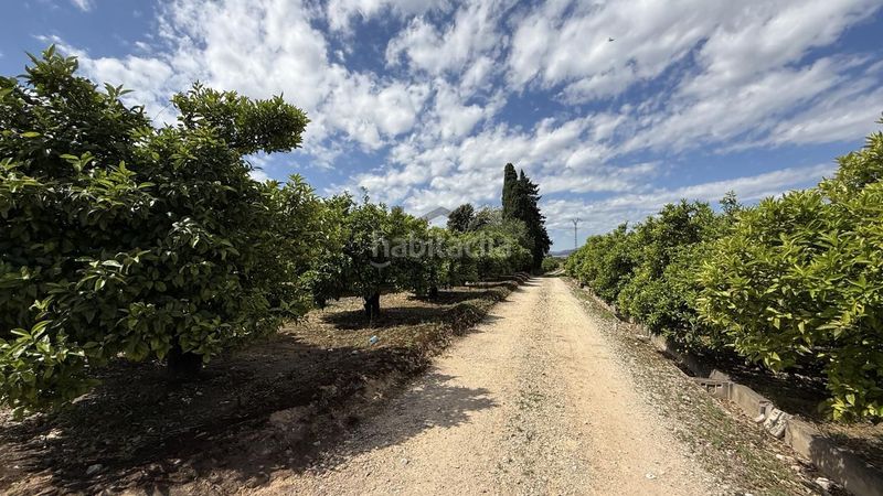 Foto 98805b7a-59ea-4f72-943f-00877b7f695e. Finca rústica a Pobla Llarga (la)
