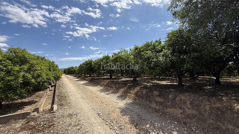 Foto e8566466-1ba2-439e-aa36-7cb12ad44341. Finca rústica a Pobla Llarga (la)