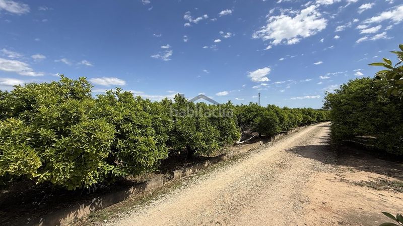 Foto ec24bb0b-f120-4fd3-8332-562b20a0d6a1. Finca rústica a Pobla Llarga (la)