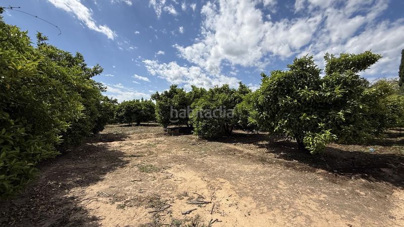 Foto ed0aed62-c778-4bd7-b5c8-0ff00afdb75b. Finca rústica a Pobla Llarga (la)