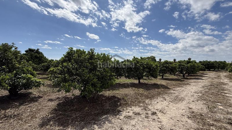 Foto 01fd5912-9169-440b-9d7f-aa149d50e597. Finca rústica a Pobla Llarga (la)