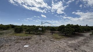 Rural plot in Pobla Llarga (la). Campo de naranjos en venta en la pobla llarga