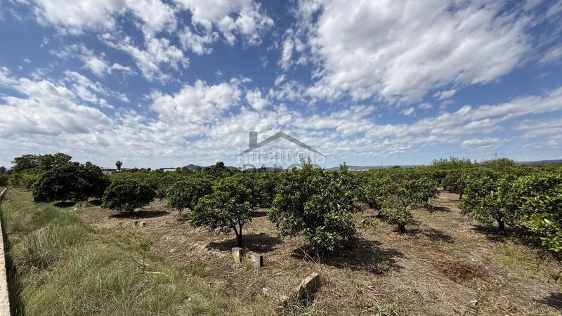 Foto dfefae6c-604f-42ae-a482-4b18a0ab5dcd. Finca rústica a Pobla Llarga (la)