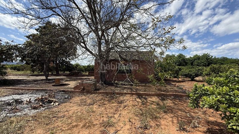 Foto ae5e51b2-4abd-42ad-9b7c-44f17ec9acf7. Finca rústica a Rafelguaraf