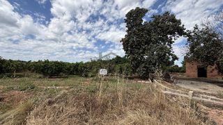 Landgut in Rafelguaraf. Campo de naranjos en venta en la pobla llarga