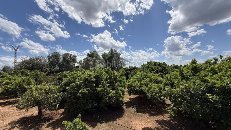 Foto 49b1b809-e6ac-4a74-bb32-5b9786a506cf. Finca rústica a Pobla Llarga (la)